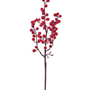 Red Berry Spike