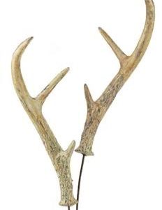 Antler Spray x 2